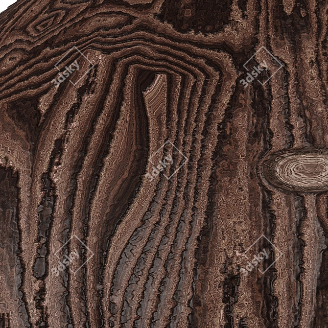 Wood Texture Pack 03 | PBR 3D model image 6