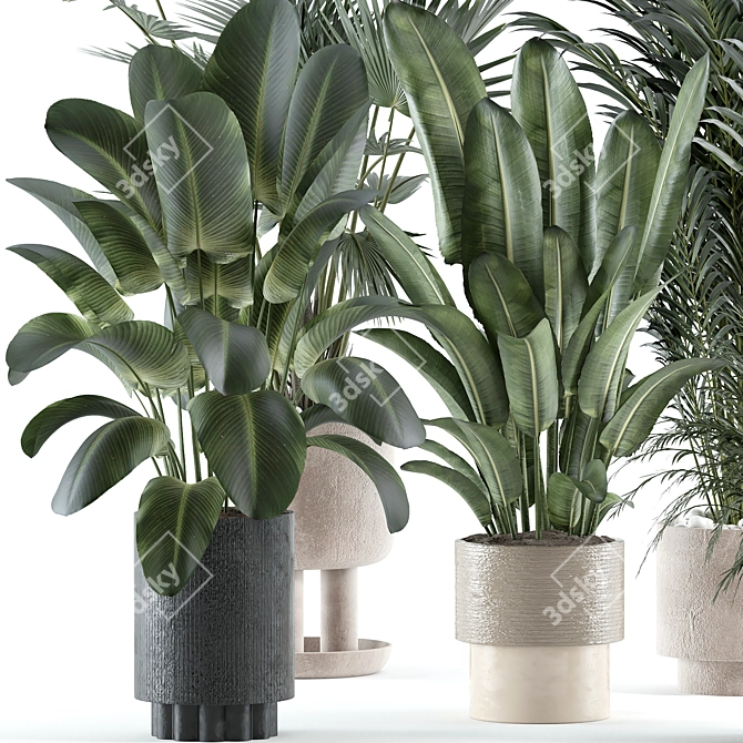 Industrial Style Indoor Plant Model 3D model image 3