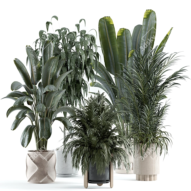 Custom Indoor Plant 3D Model 3D model image 1