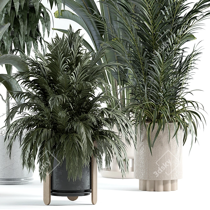 Custom Indoor Plant 3D Model 3D model image 2