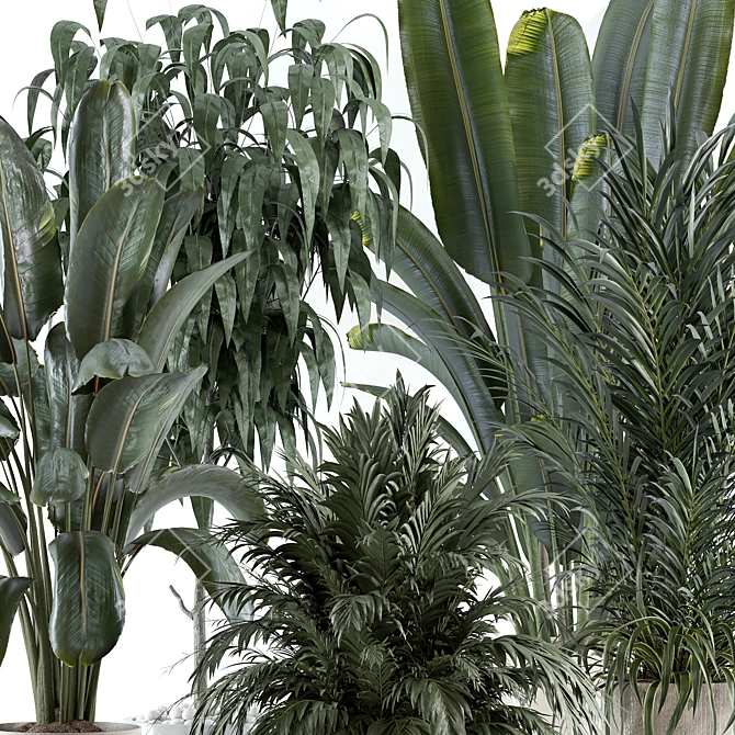 Custom Indoor Plant 3D Model 3D model image 3