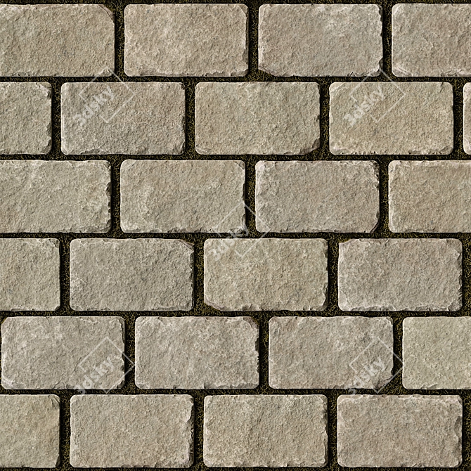 Stone Paving Seamless 3D Textures 3D model image 2