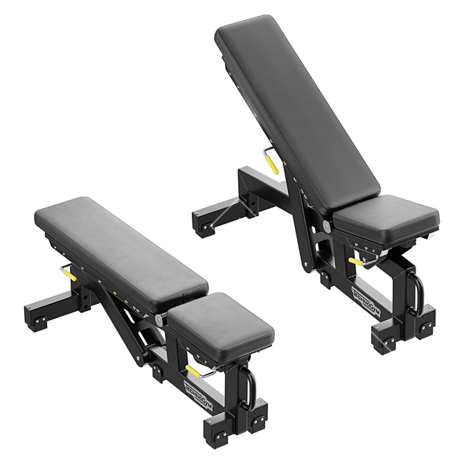 Technogym Adjustable Weight Bench Pure 3D model image 4