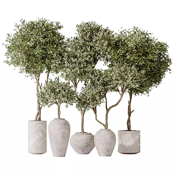 Artificial Olivo Olea Tree Set 3D model image 1