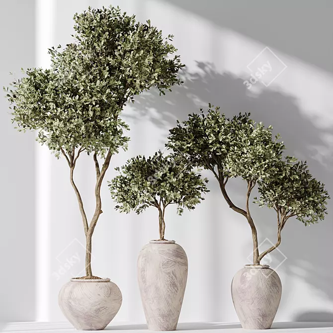 Artificial Olivo Olea Tree Set 3D model image 6