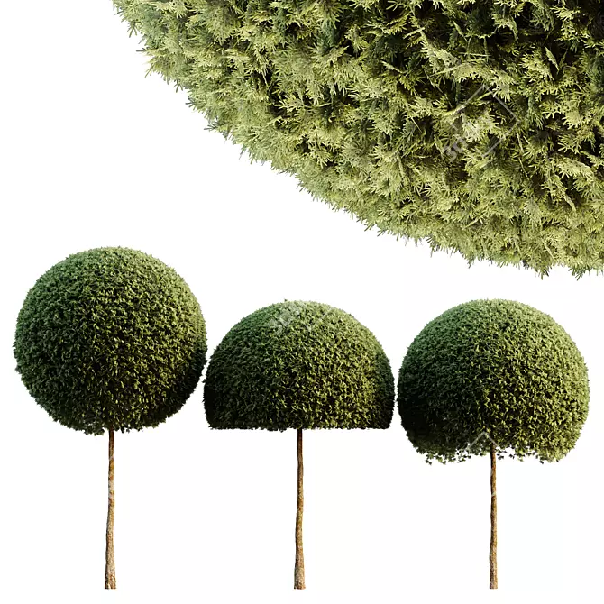 Spherical Tree Pack 3D Model 3D model image 1