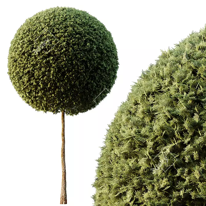 Spherical Tree Pack 3D Model 3D model image 2