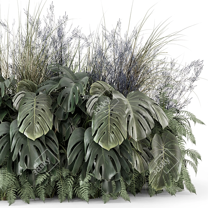 Outdoor Plants Bush Set 3D 3D model image 6