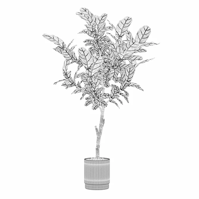 Modern Ficus Lyrata in Pot 3D model image 5