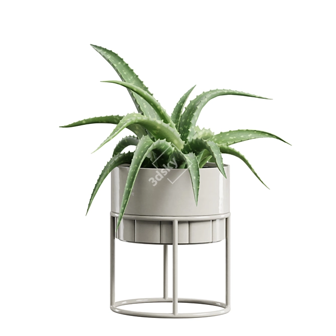 Exotic Indoor Plants Collection 63 3D model image 7