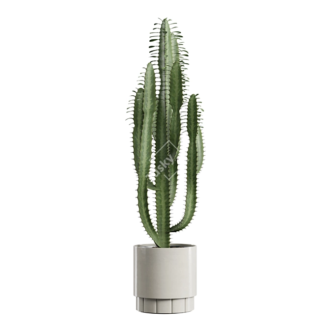 Exotic Indoor Plants Collection 63 3D model image 12