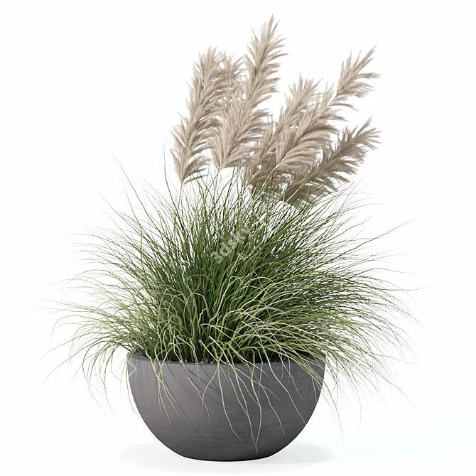 Modern Pot Grass Plants Collection 3D model image 1