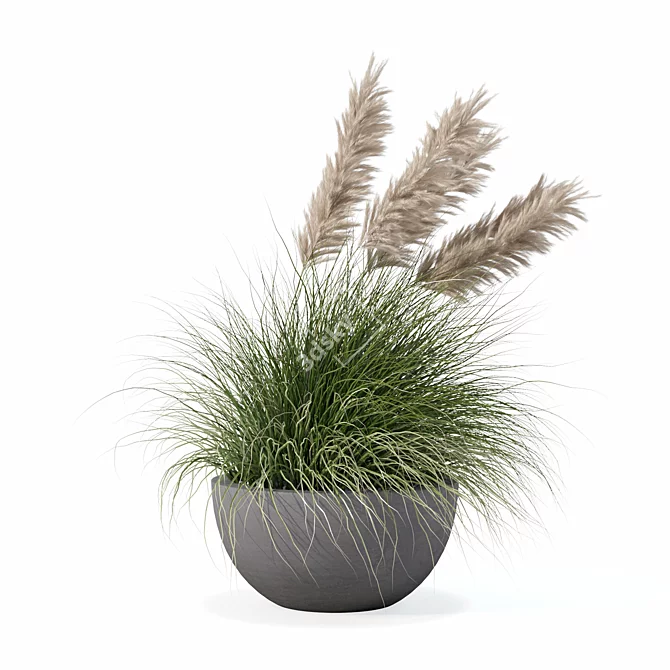 Modern Pot Grass Plants Collection 3D model image 2