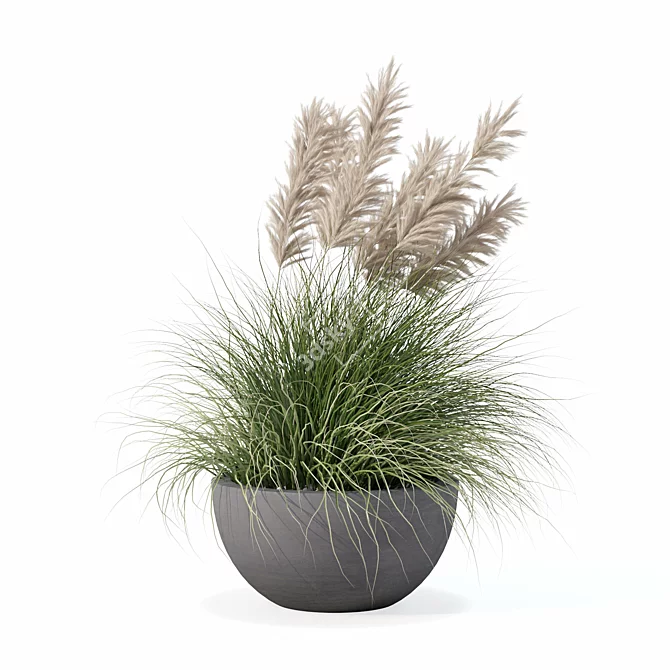 Modern Pot Grass Plants Collection 3D model image 3