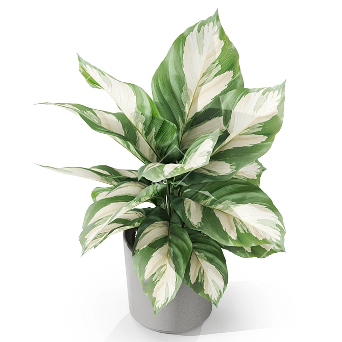 Botanical Collection 1038: Detailed Foliage 3D model image 2