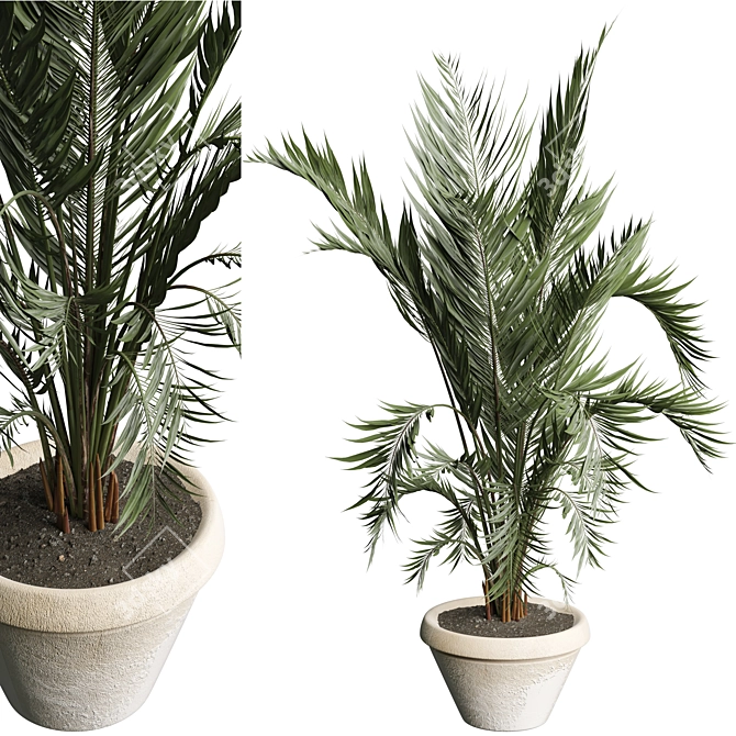 Modern Indoor Plant 3D Model 3D model image 1