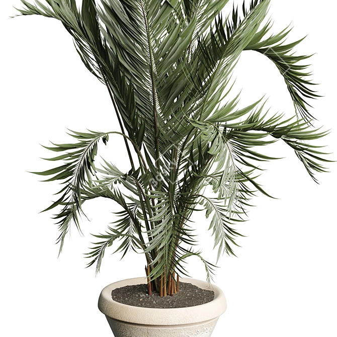 Modern Indoor Plant 3D Model 3D model image 2