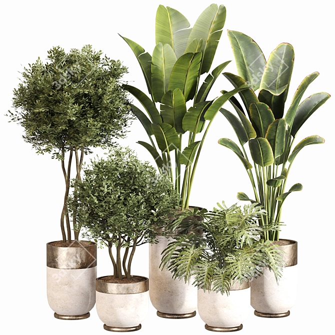 Modern Indoor Plant Set 045 3D model image 1