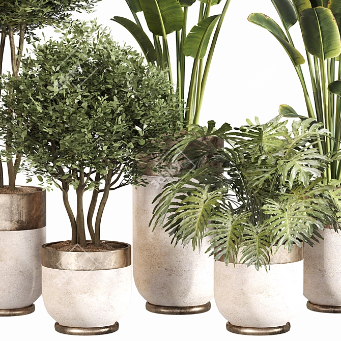 Modern Indoor Plant Set 045 3D model image 2