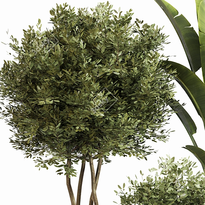 Modern Indoor Plant Set 045 3D model image 4