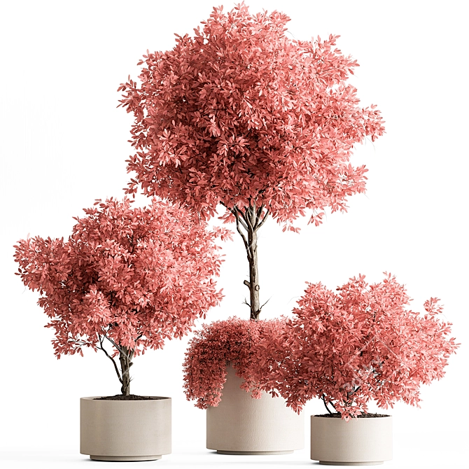 Pink Tree Indoor Plant 672 3D model image 1