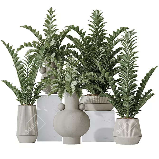 Zamioculcas Zamiifolia 3D Plant Bundle 3D model image 1