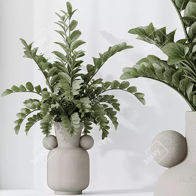 Zamioculcas Zamiifolia 3D Plant Bundle 3D model image 3