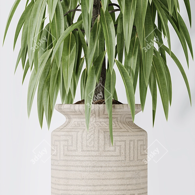 Variety of Huge Ficus Models 3D model image 4