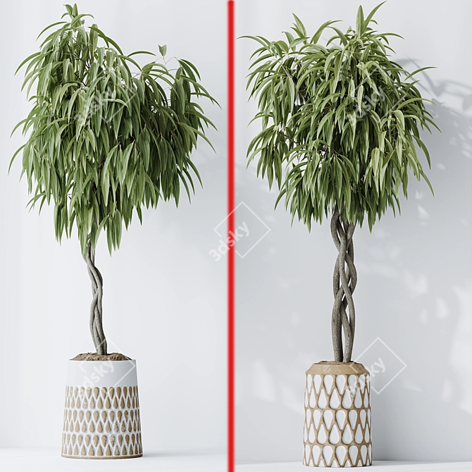 Variety of Huge Ficus Models 3D model image 6