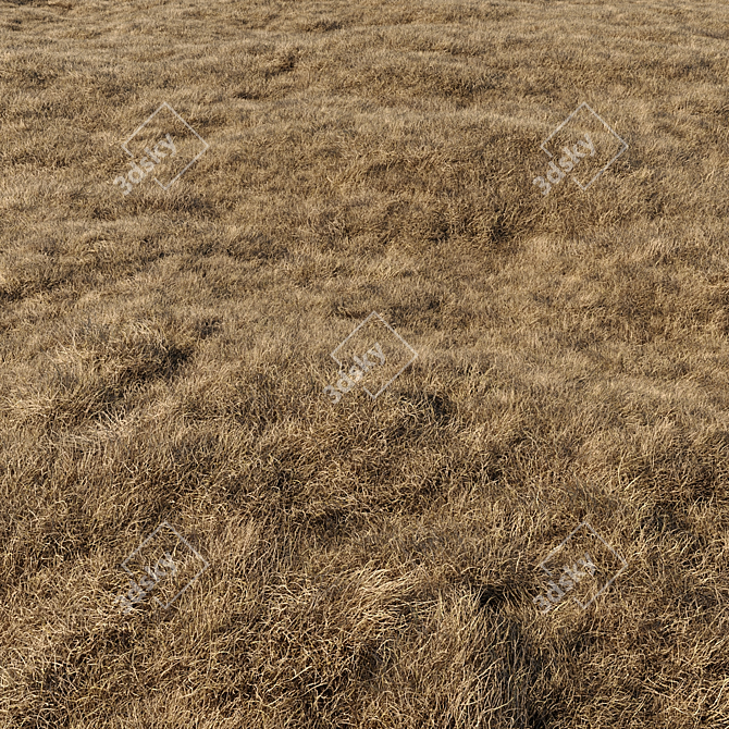 High-Quality Dried Grass Pack 3D model image 5