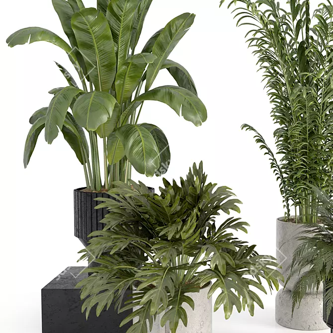  Modern Indoor Plant Collection 3D model image 2