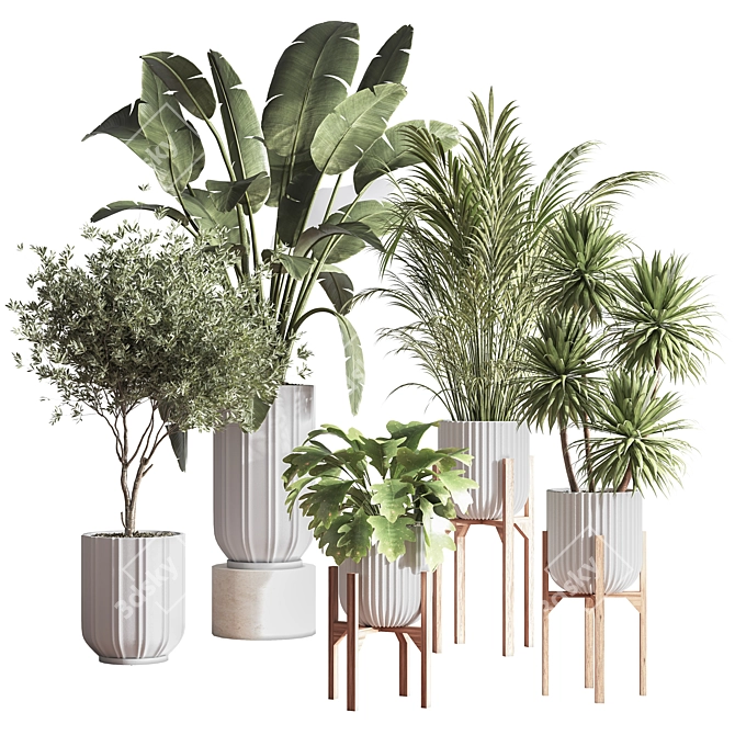 Lush Indoor Plant Set 3D model image 1