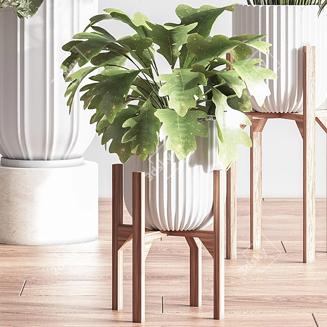 Lush Indoor Plant Set 3D model image 4