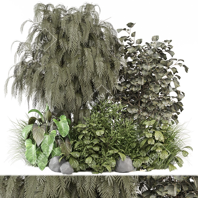 Botanical Plants Set 1193 3D model image 1