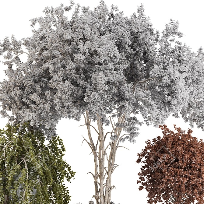 Color-Changing Bonsai Tree 3D Model 3D model image 5