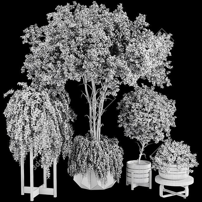 Color-Changing Bonsai Tree 3D Model 3D model image 7