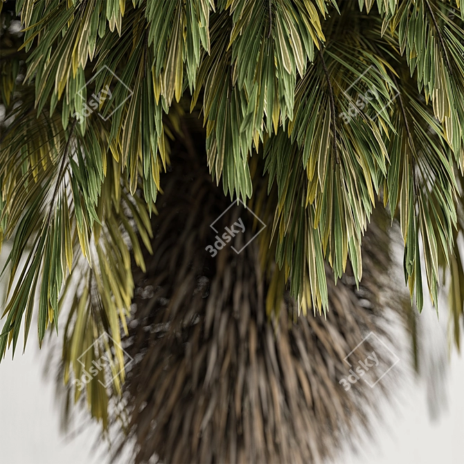  Palm Tree Set 288 3D model image 3