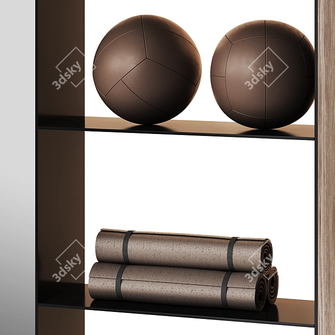 Yoga Pilates Studio Closet Equipment 3D model image 3