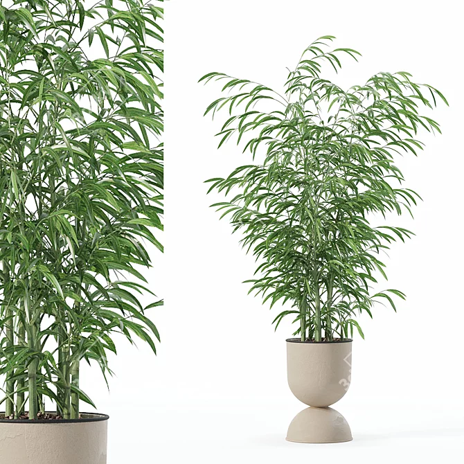 Modern Bamboo Plant in Pot 3D model image 1