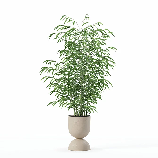 Modern Bamboo Plant in Pot 3D model image 2