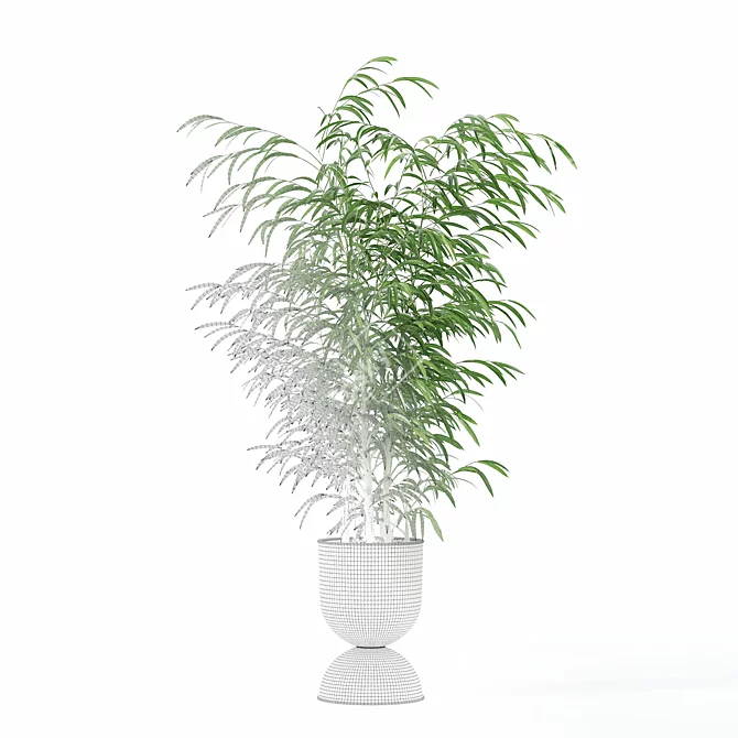 Modern Bamboo Plant in Pot 3D model image 5