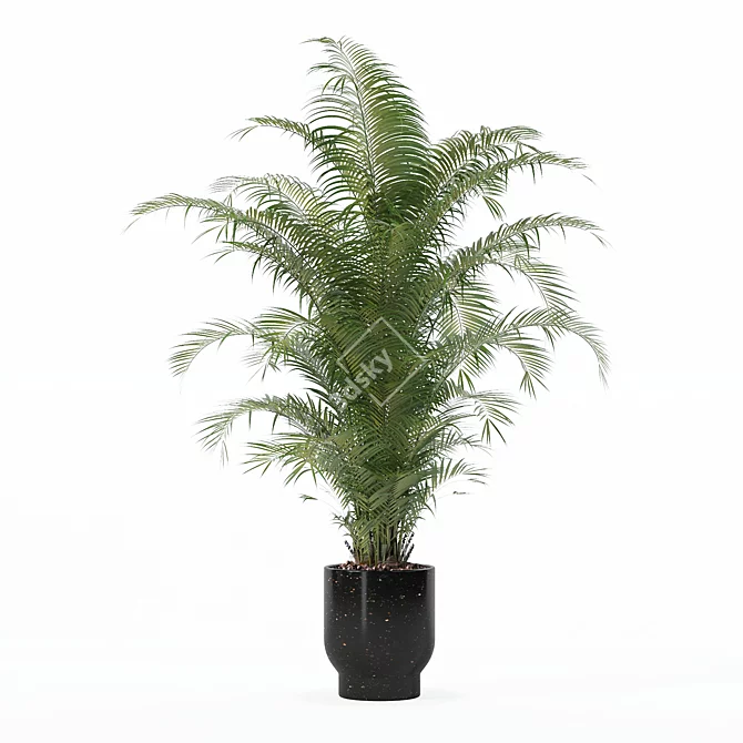 Modern Areca Palm Flower Pot 3D model image 3