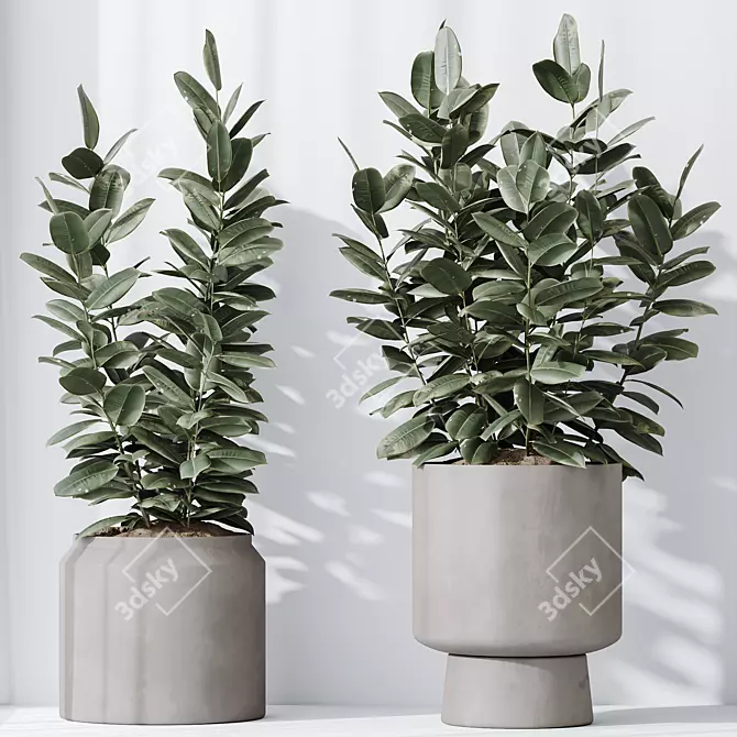 Rubber Ficus 3D Vases Collection 3D model image 2