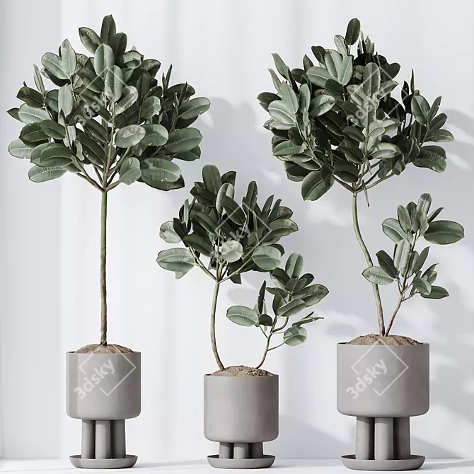 Rubber Ficus 3D Vases Collection 3D model image 3