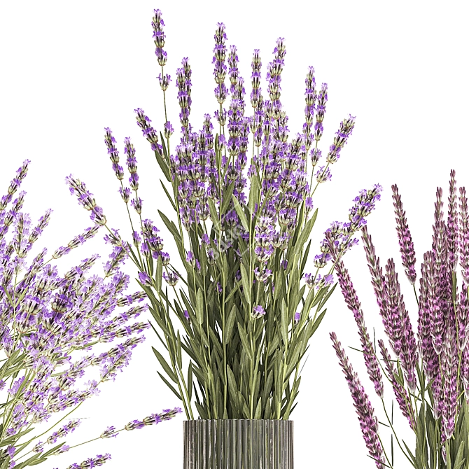 Field Flowers Bouquet Set 3D model image 2