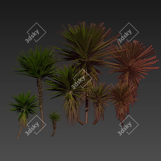 Low-Volume Yucca Palm Asset 3D model image 7