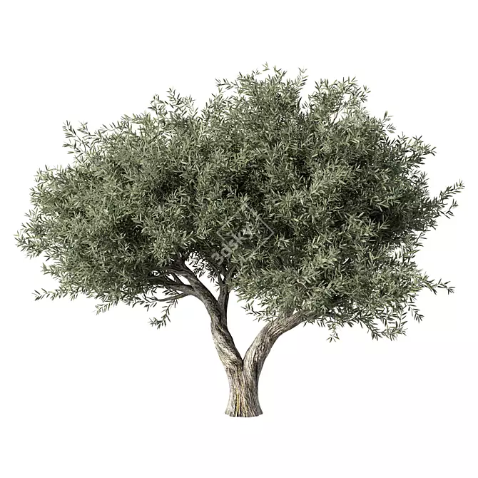 Majestic Olive Tree Sculpture 3D model image 1