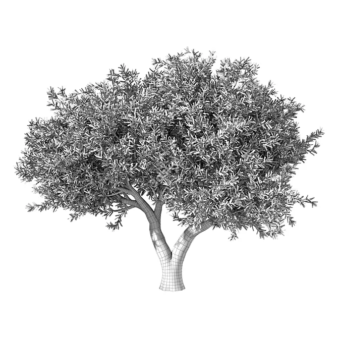 Majestic Olive Tree Sculpture 3D model image 3