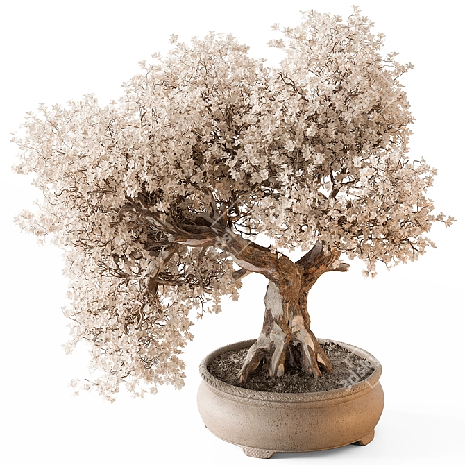 Exotic Adenium Bonsai Plant 3D model image 1