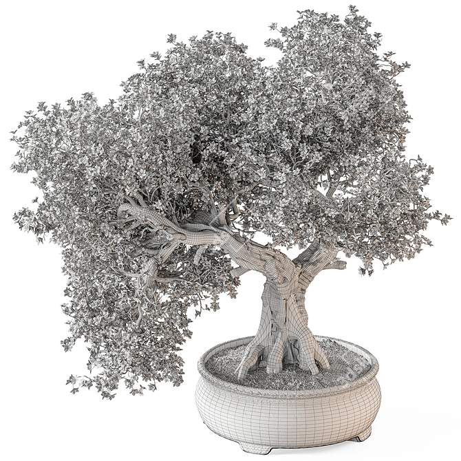 Exotic Adenium Bonsai Plant 3D model image 3